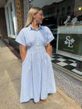 Woven Stripe Pleated Flare Dress- Blue