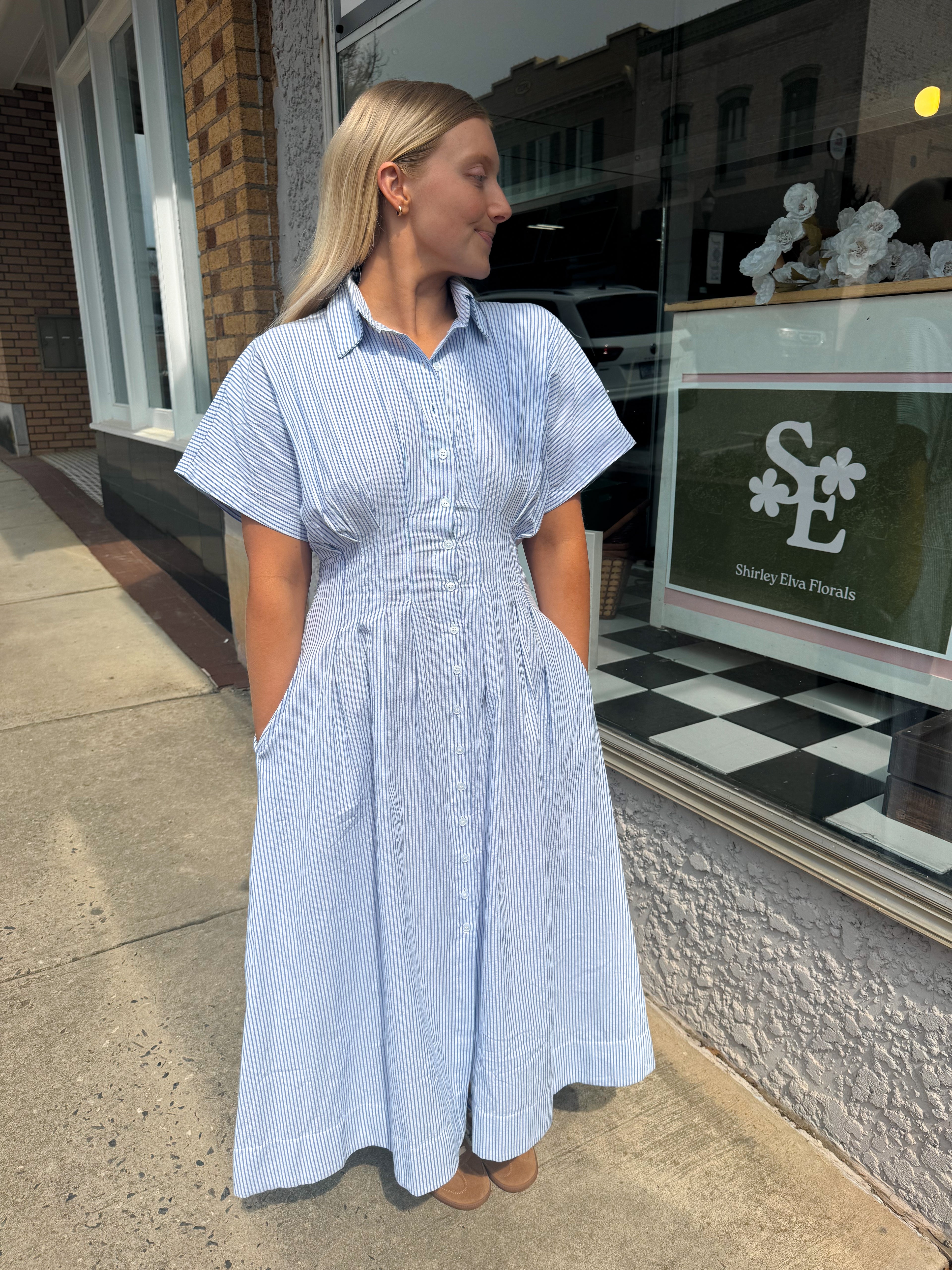 Woven Stripe Pleated Flare Dress- Blue