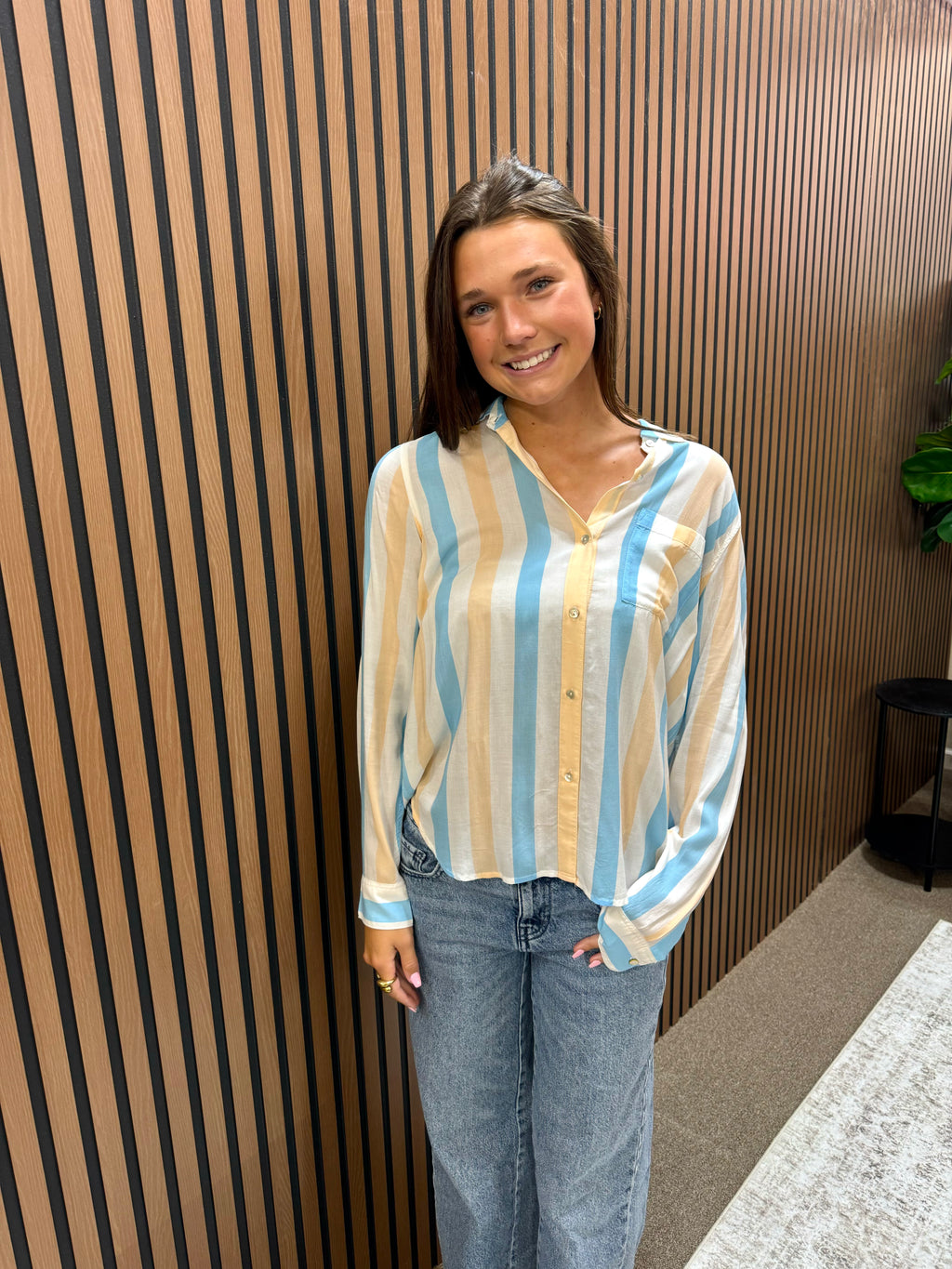 Daylight Stripe Blouse