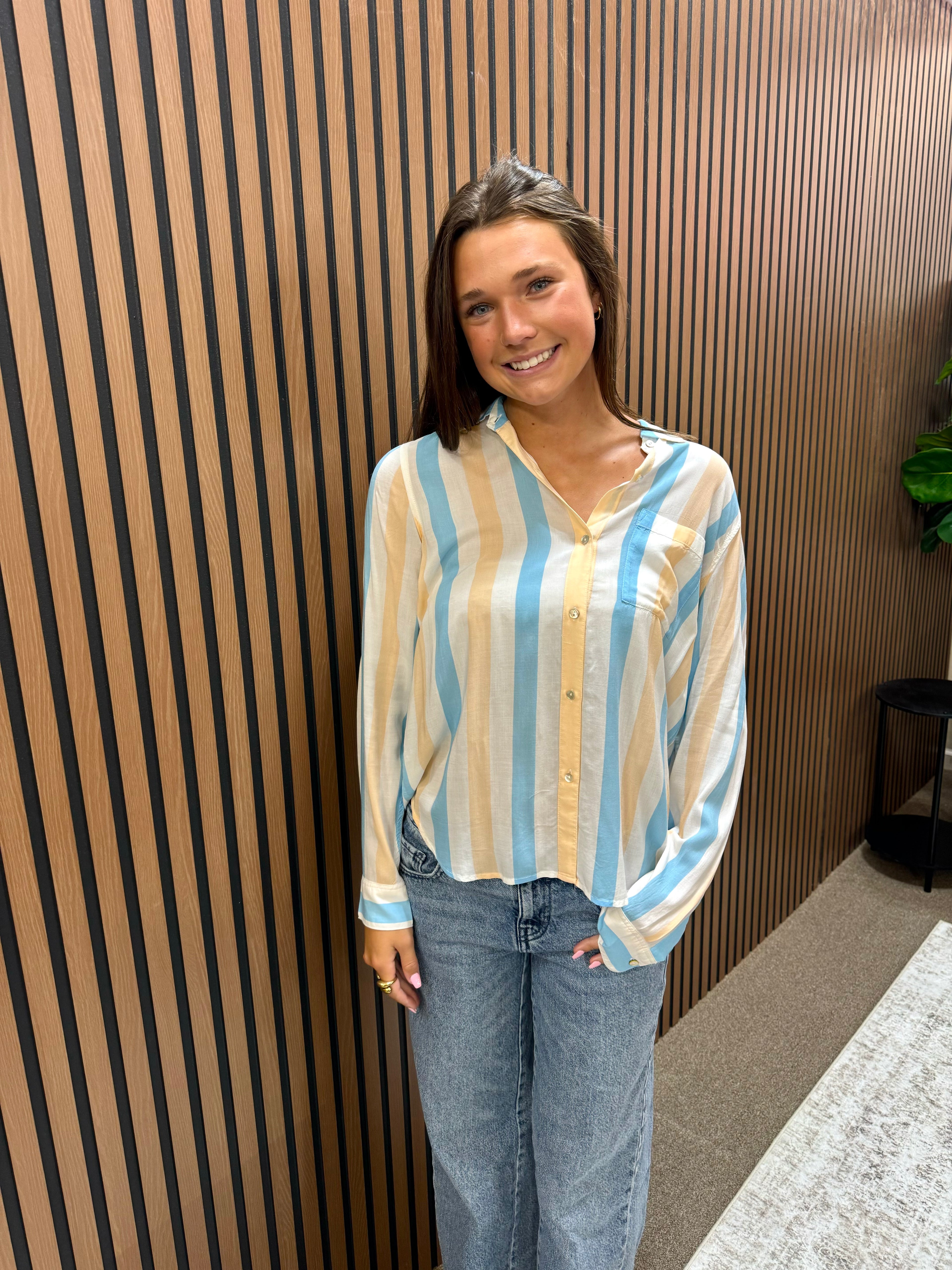 Daylight Stripe Blouse